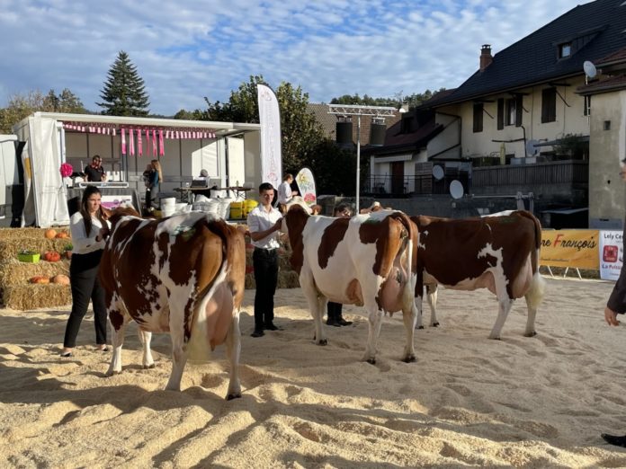 Que faire ce week-end Annecy ?