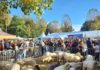 L’Ancileviennerie d’Annecy 2026 : programme, soirée & animations Ancileviennerie Annecy 2026