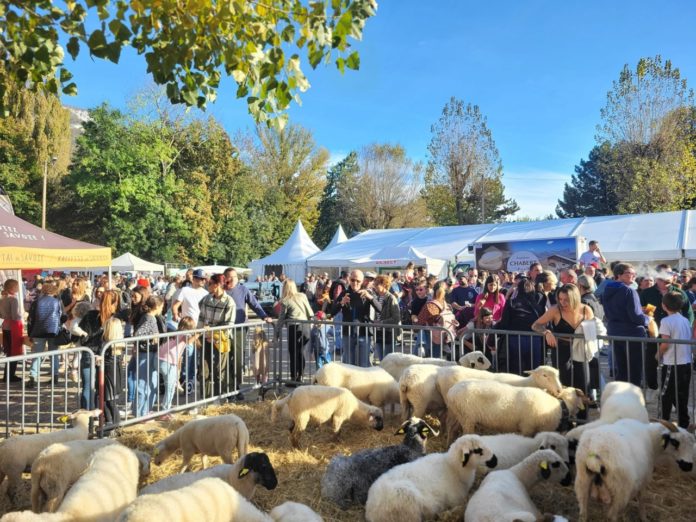 Ancileviennerie Annecy 2026